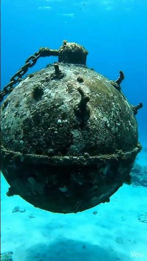 Diver Discovers a Live Sea Mine Beneath the Waves #reels #ai #scubadiving #underwater #dangerous