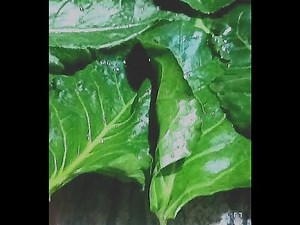 how to make easy fritter recipe in 10 minutes/top 10 recipe