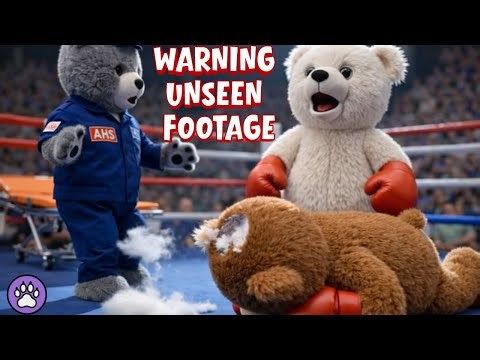 WARNING: UNSEEN FOOTAGE ⚠️ Teddy Bear Boxing Match Ends BADLY