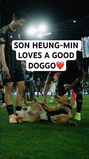Son Heung-Min is an animal lover❤️