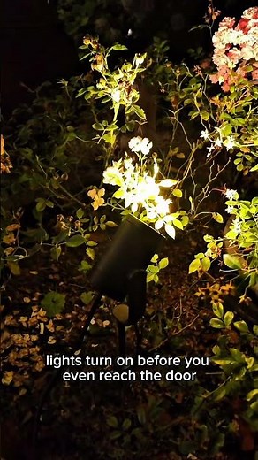 Philips Hue Outdoor Motion Sensor turns the lights on before you arrive.