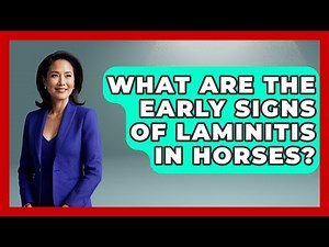 What Are The Early Signs Of Laminitis In Horses? - The Horses Stable