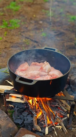 4.5K reactions · 49 shares | Iepure la ceaun #outdoorcooking | Gǎtit in Naturǎ | Facebook