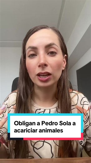 Pedro Sola acariciando perros: video y reacción