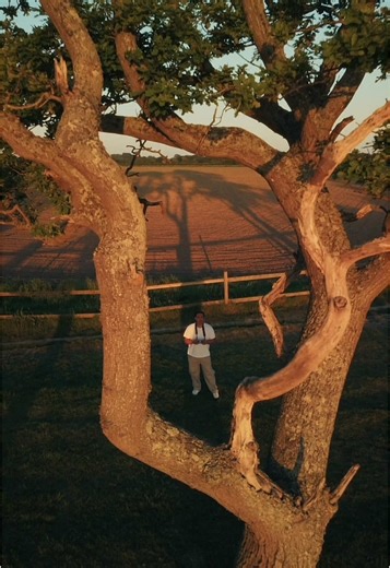 @DJI Official Care Refresh gives me confidence to do this type of shot. 😂 #dji #mini4pro #sunset #beachvibes