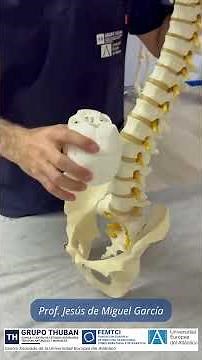 What you need to know about plagiocephaly and scoliosis - Prof. Jesús de Miguel García