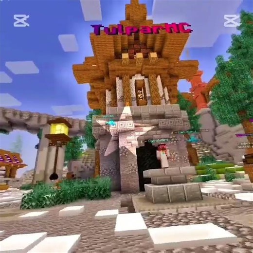 Minecraft Java mobil survival server