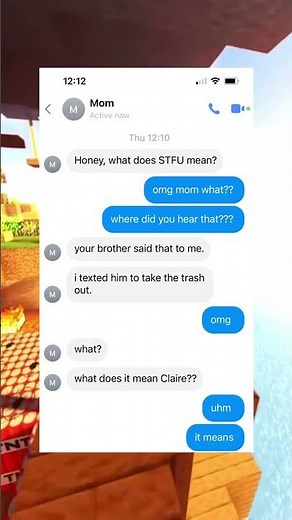 Honey, What does STFU mean? #minecraftparkour #textchat