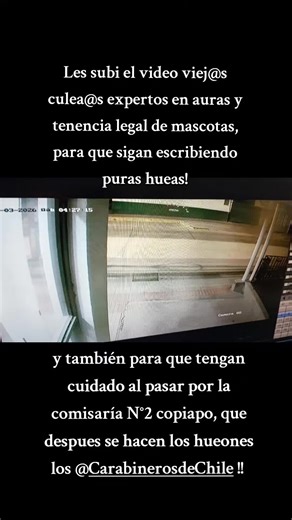 Incidente con Perros Callejeros en Copiapó