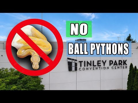 NO Ball Pythons Allowed! (NARBC Tinley June 2026)