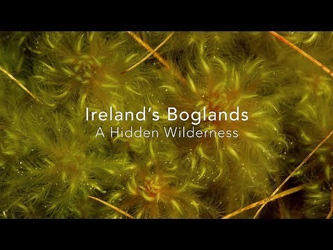 Ireland's Boglands | A Hidden Wilderness