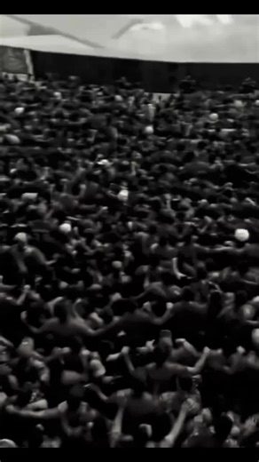 #اتحاد_العاصمة #العاصمة🇩🇿 #fr #aboni_tchof_jdid🇩🇿🇲🇦🇹🇳 Usm#اتحاد_العاصمة