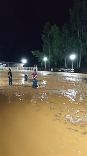 GUILHERME | CT JUBILEU BC on Instagram: "Workshop privado Os pilares do Border Collie de trabalho com gado. #bordercollie #cowdog #workingbordercollie #jubileubc #caodegado"