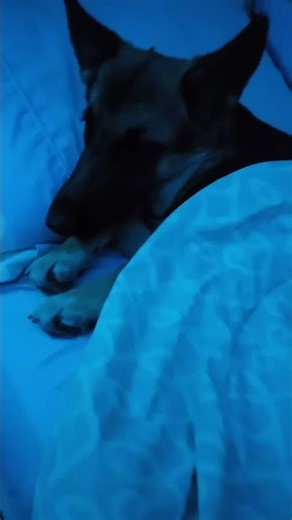 The sleeping beauty‪@afv‬ ‪@TopViralTalentYT‬ ‪@famousyoutubers3885‬ ‪@YouTube‬ #gsds
