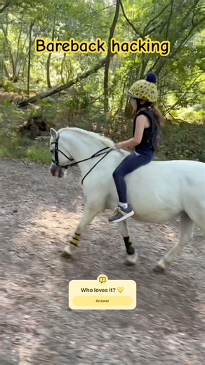 Bareback hacking is so fun 💛🫶🏼 #ponies #horse #equestrian #pony #horsegirl #bareback #fypシ