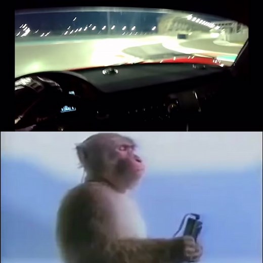 Ferrari F50 GT: The Best Sounding Non-Racing Car