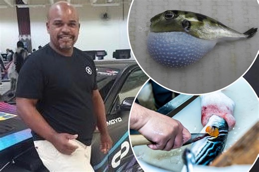 Fish eater dies after cooking deadly pufferfish given to him as present