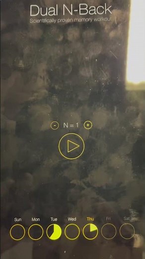 Dual n-back. Great for improving working memory, attention, situational awareness, &mindfulness.