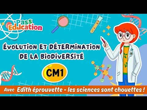 Évolution et détermination de la biodiversité - Cm1– Edith Eprouvette: Leçon, Exercices, Évaluation
