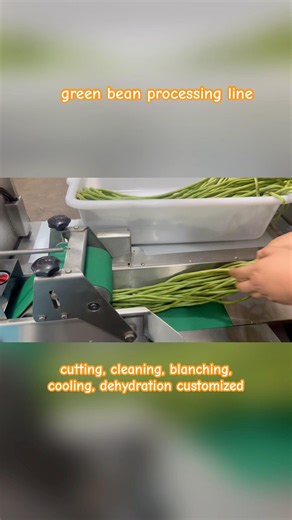 Vegetable processing line cut vegetable washing blanching machine #vegetables #machine #processing