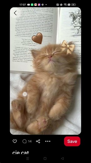 Found my bias! |SHV| #trendingshorts #pinterest #jennie #jenniefromblackpink