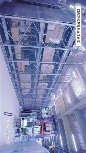 How to Design an ASRS Warehouse with Four-Way Shuttle and Track Robots?