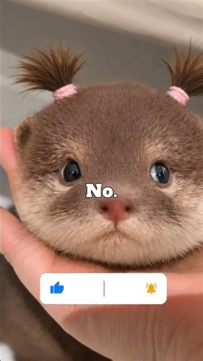 Ranking Cutest Otter Moments #shorts #otter #cuteanimals