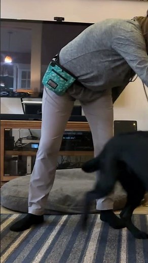 Service Dog Learning to Help with PTSD #servicedogtraining #shorts #ptsd