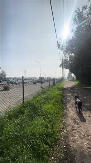 A Moment Beside the Freeway