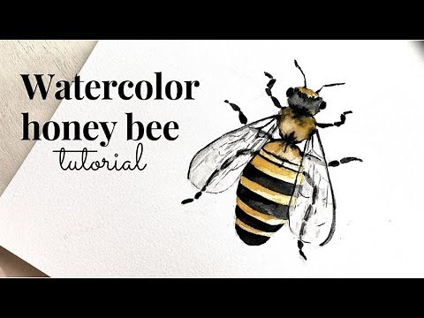 Watercolor honey bee tutorial