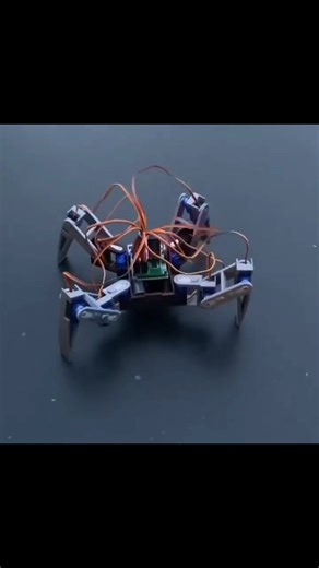 Robotics Store on Instagram: "3D printed spider robot #reels #electronic #3dprinting #viral"