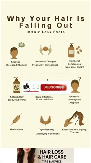 Hair Falling Out? Here’s the Real Reason