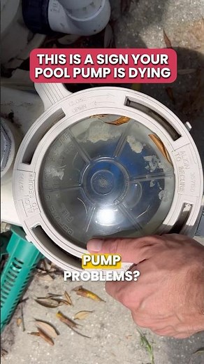 This is a Sign Your Pool Pump is Dying 💀