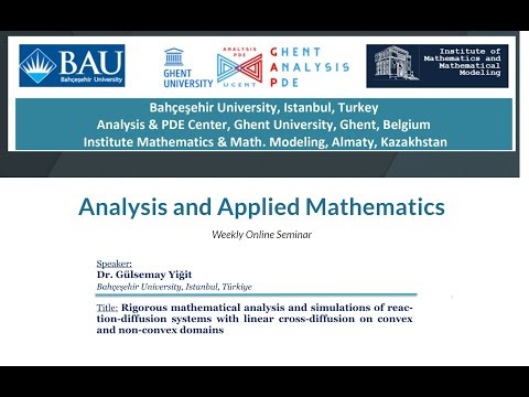 AAM Seminar: Rigorous mathematical analysis and simulations of reaction-diffusion systems