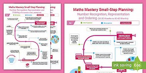 EYFS Maths: Number Recognition, Representation and Ordering Small-Step Planning