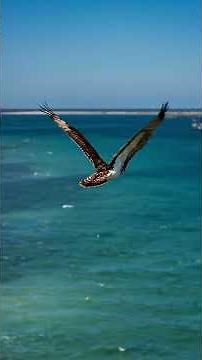 PENSACOLA X® MARCH 2026 GUIDE | Pensacola Events, Beach Festivals & Emerald Coast Spring