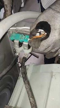 Bosch Front Load Washer Repairing