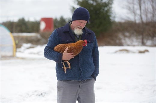 Local egg producer offers chance to start your own backyard flock