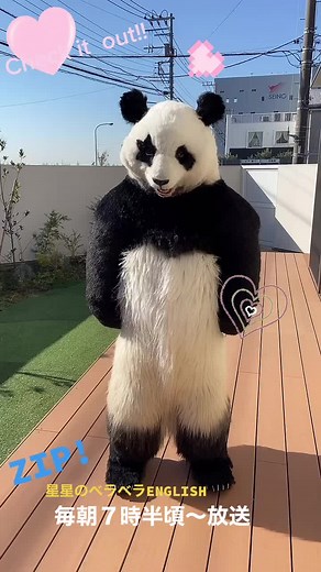 Niziu PMV Featuring Seisei Panda Zip