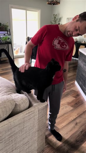 Nuggy chats! #cats #blackcats #blackfriday #nuggy #chattycat