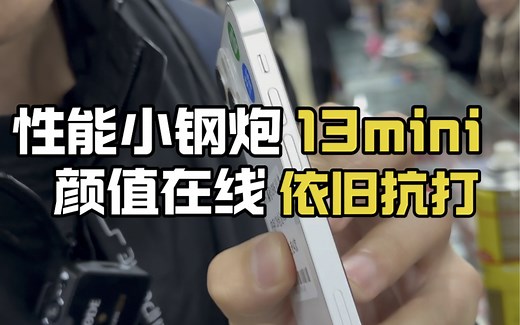 13mini，性能小钢炮，依旧坚挺