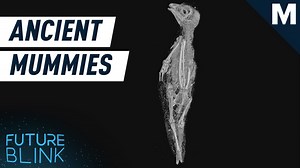 These scientists ‘digitally unwrapped’ ancient mummies