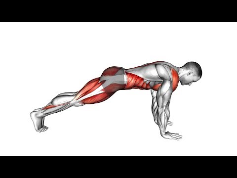 6 Minute Full Body HIIT Workout No Equipment, Beginner Friendly!