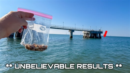 In today’s video, I’m revealing the Sheepshead technique that almost NO ONE uses… but absolutely should. This simple method has helped me catch some of the most finicky Sheepshead you’ll ever find, and the results speak for themselves. I break down exactly how I set up, where I position, and the one trick that instantly gets more bites when everyone else around you is struggling. If you fish for Sheepshead around docks, bridge pilings, oyster encrusted structure, or jetties… this is a game chang