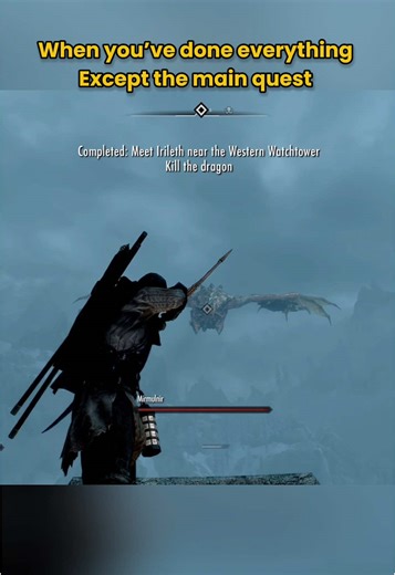 Skyrim when you have over 1000 hours pt 4 #Skyrim #ElderScrolls #Dragonborn #FusRoDah #SkyrimMods #SkyrimBuilds #SkyrimChallenge #SkyrimSecrets #SkyrimTips #SkyrimFunny #SkyrimMemes #SkyrimGameplay #SkyrimGuide #SkyrimCombat #SkyrimShorts