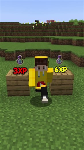 Better Than an XP Farm in Minecraft #minecraft