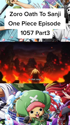Zoro's Oath to Sanji in One Piece Episode 1057