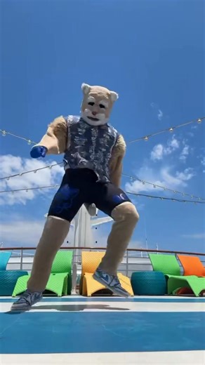 rockin’ | Cosmo the Cougar