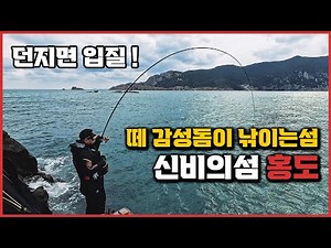 "Mysterious Island 'Hongdo'," where schools of black porgy are biting! Just cast your line and th...