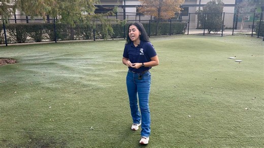 Houston SPCA on Instagram: "🐾 Adoption Live 🐾 Today we’re shining a spotlight on two of our long-staying dogs who are still waiting for their forever homes, Mason and Penelope. Both have so much love to give! Meet them, hear their stories, and see if one might be the perfect match for your family.💛 🔗 View all available pets: houstonspca.org/available-pets/ #AdoptionLive #AdoptDontShop #RescueDogs #HoustonPets"